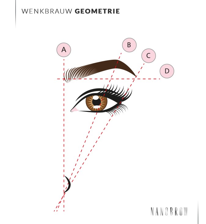methode om de vorm van de wenkbrauwen te bepalen